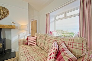 Televisión, chimenea, reproductor de DVD, libros