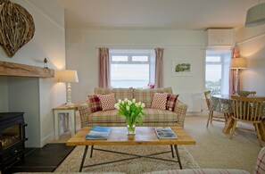 Televisión, chimenea, reproductor de DVD, libros