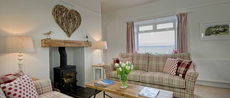 TV, fireplace, DVD player, books