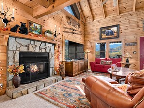 Smart TV, fireplace, DVD player, books