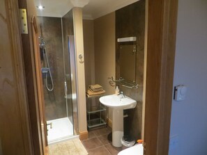 A bathroom with a glass shower enclosure, a pedestal sink, and a mirror above the sink.
