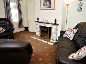 电视、DVD 播放器