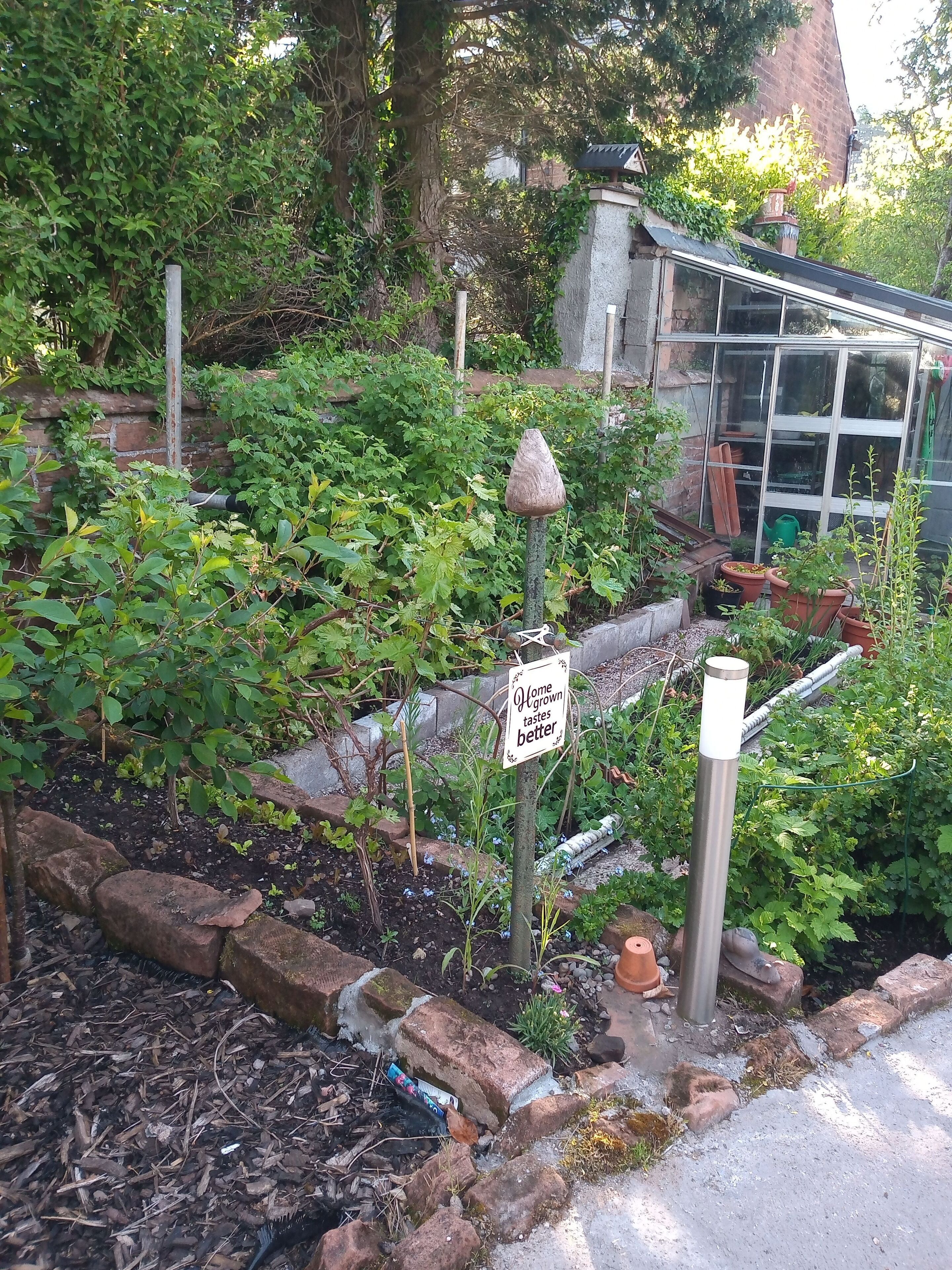Een tuin met een bord waarop staat 'Zelfgekweekte smaken beter', omringd door verschillende planten en een bakstenen muur.