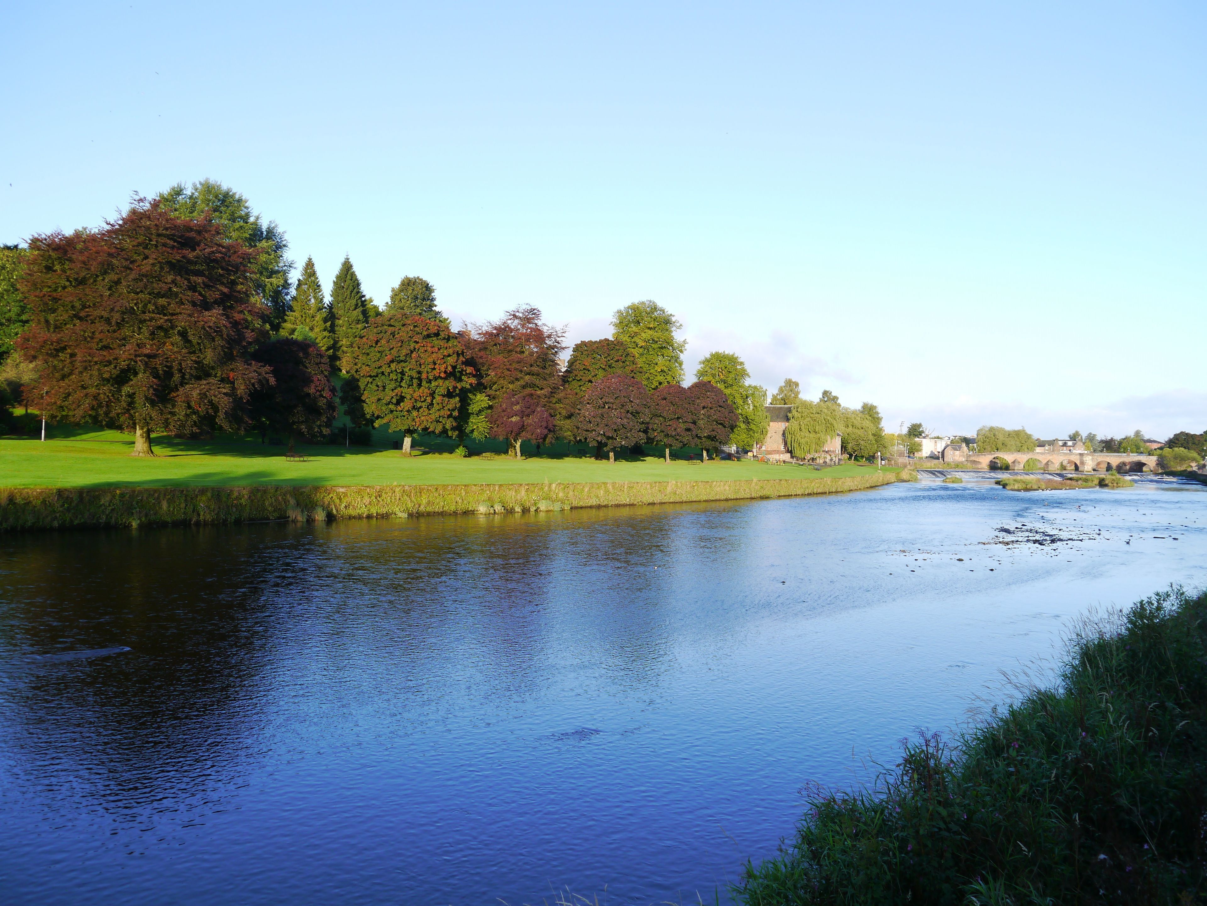 Een rivier met een brug, bomen en een grasveld.