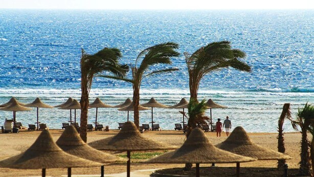 Een strand met rieten parasols en palmbomen, een helder uitzicht op de oceaan, en enkele mensen die wandelen.