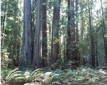 施設の敷地