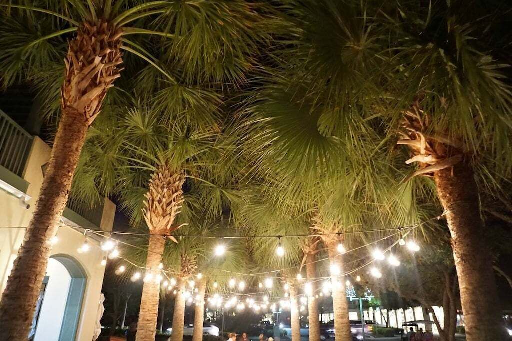 A nighttime outdoor area with palm trees and string lights.