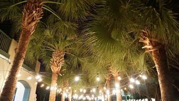 A nighttime outdoor area with palm trees and string lights.