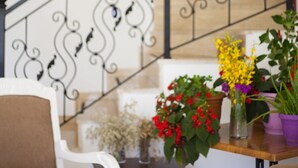 A staircase with a wrought iron railing, a table with potted plants, and a chair. - Ferah Hotel (Kaş)
