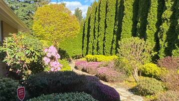 Áreas de la propiedad