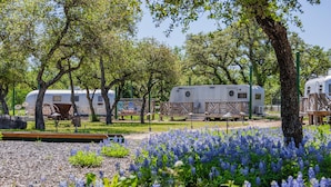 Un camping con vehículos recreativos, mesas de picnic y un campo de flores azules.