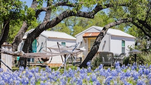 Una cabaña rústica con una hamaca y asientos exteriores, rodeada por un campo de flores azules.