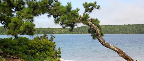 Playa en los alrededores