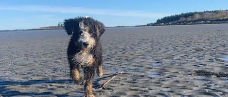 Solstolar och strandhanddukar