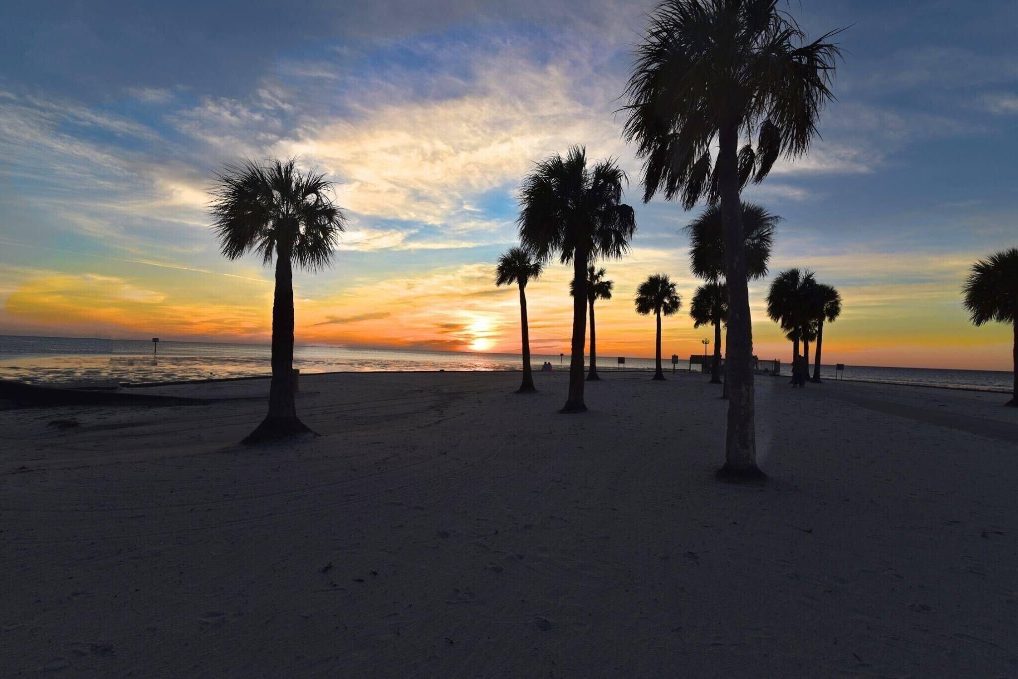 Een strand met palmbomen en een ondergaande zon.