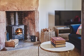 Smart TV y chimenea
