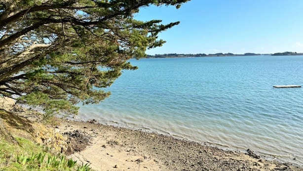 Uma praia com águas cristalinas, areal arenoso e uma grande árvore oferecendo sombra.