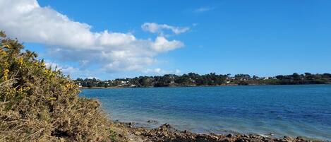 A rocky shoreline with clear blue water and a distant view of a town.