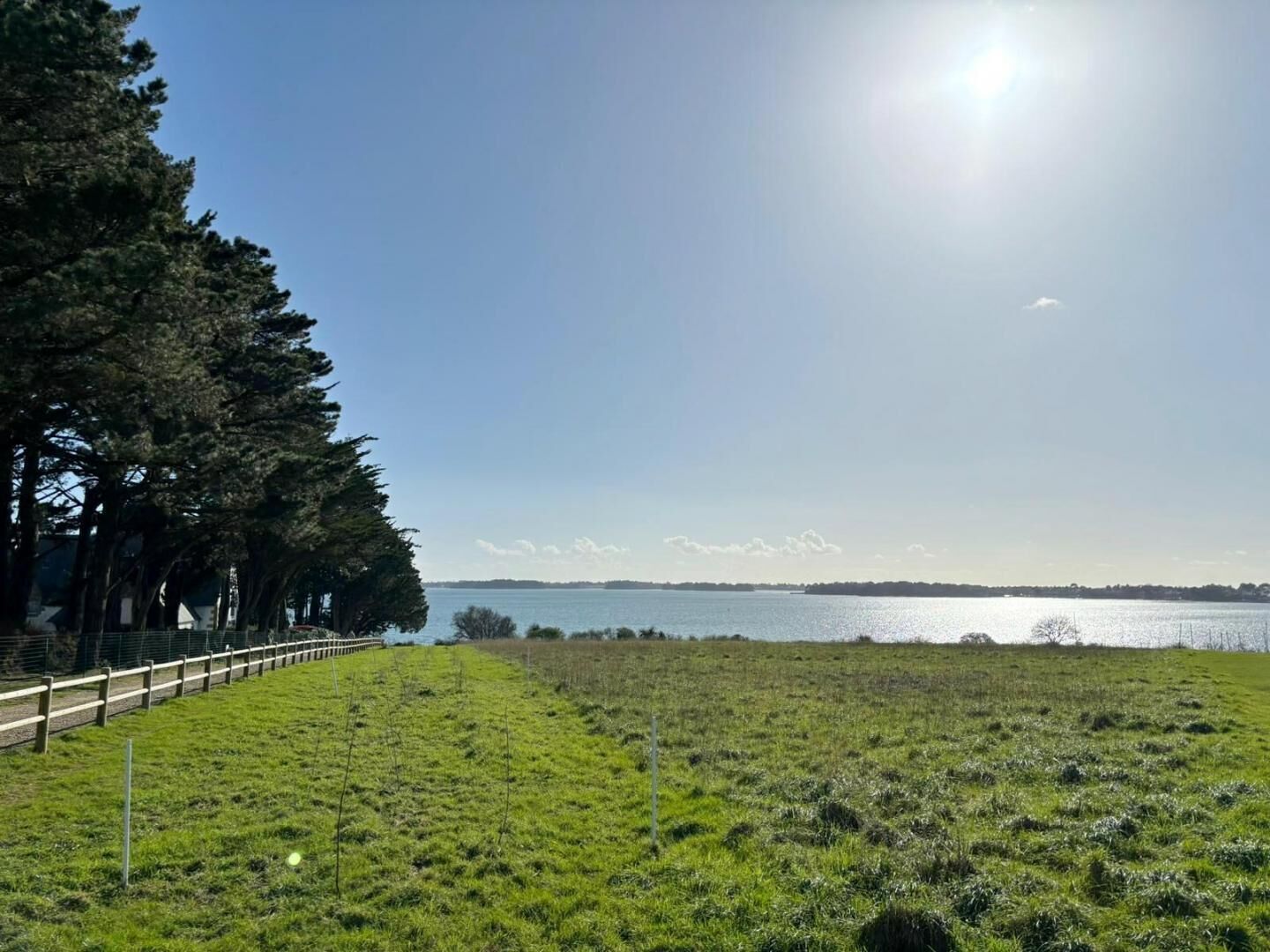 A grassy field with a wooden fence and trees in the background.