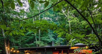 Wooded summer oasis