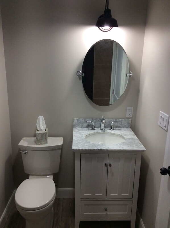 A bathroom with a toilet, sink, and mirror.