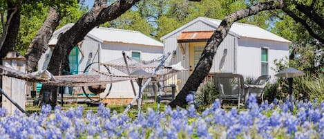 Una cabaña rústica con una hamaca y asientos exteriores, rodeada por un campo de flores azules.