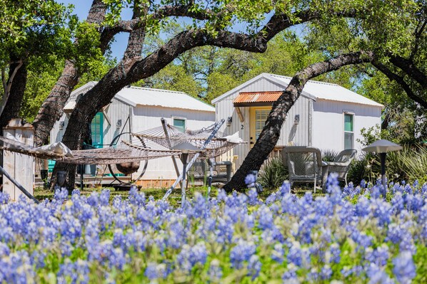 A rustic cabin with a hammock and outdoor seating, surrounded by a field of blue flowers.