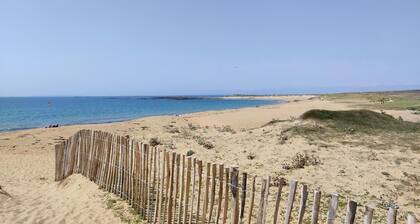 Les Aigrettes - ERDEVEN