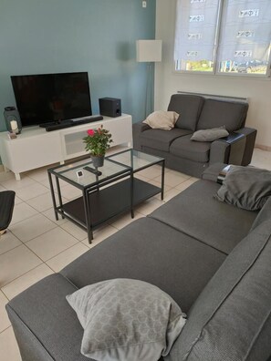TV, Netflix, books, streaming services