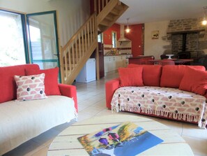 TV, fireplace, DVD player, books - The Carters' House (COHINIAC)