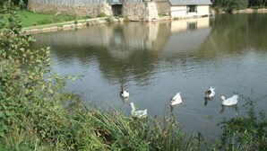 Un paisaje tranquilo junto al lago, con un edificio rústico y un muro de piedra.