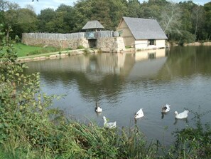 Overnattingsstedets uteområder