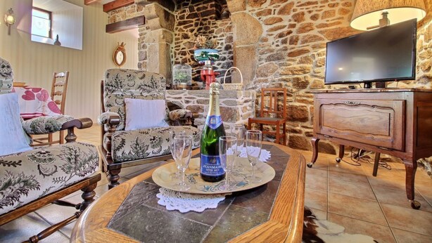 Un salon chaleureux avec une cheminée en pierre, des meubles en bois et un téléviseur.