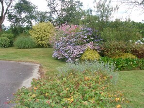 Boendeområde