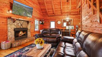 Smart TV, fireplace, video games, books