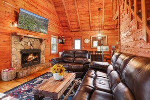 Smart TV, fireplace, video games, books