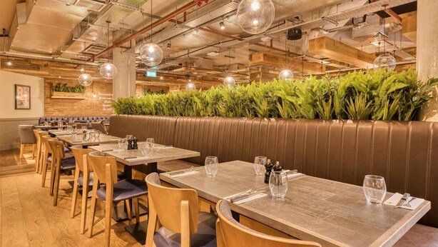 Een restaurant met houten tafels, lederen zitjes, hangende吊り灯 en een groene plantenwand.