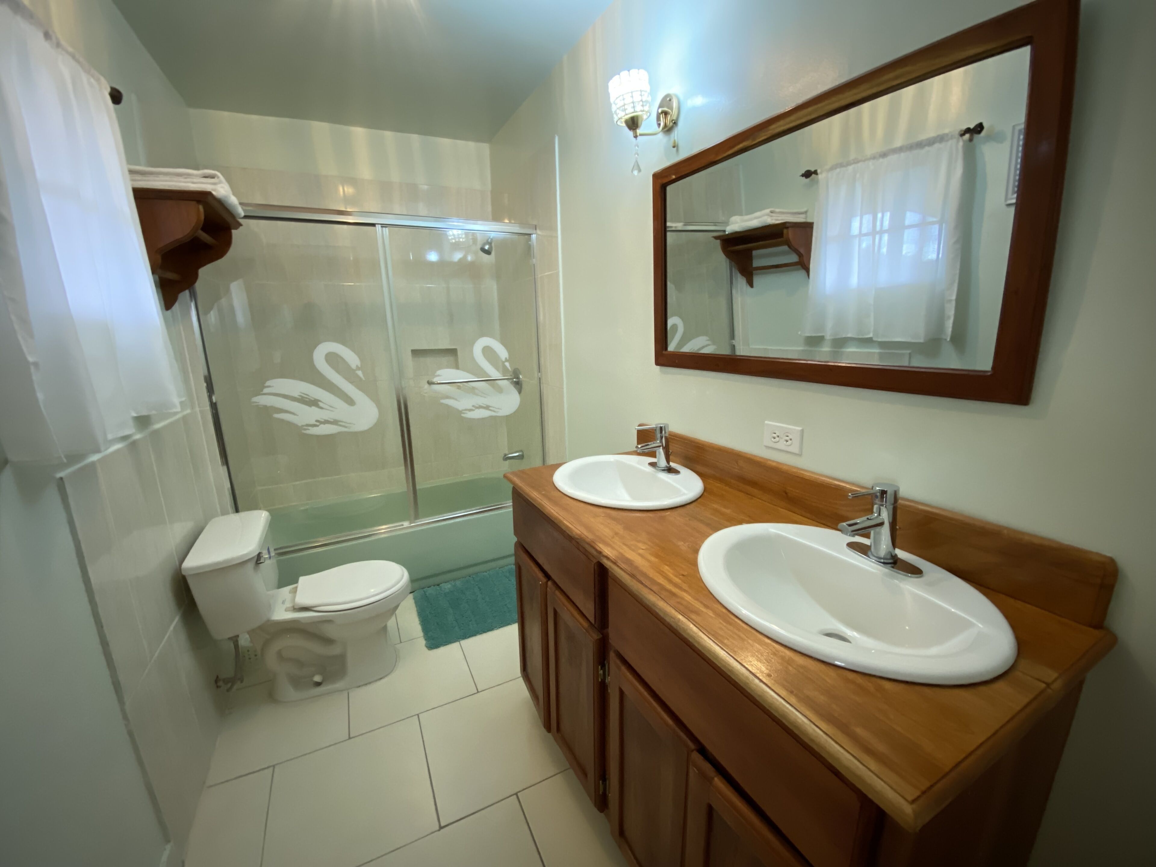 Combined shower/tub, jetted tub, towels, soap