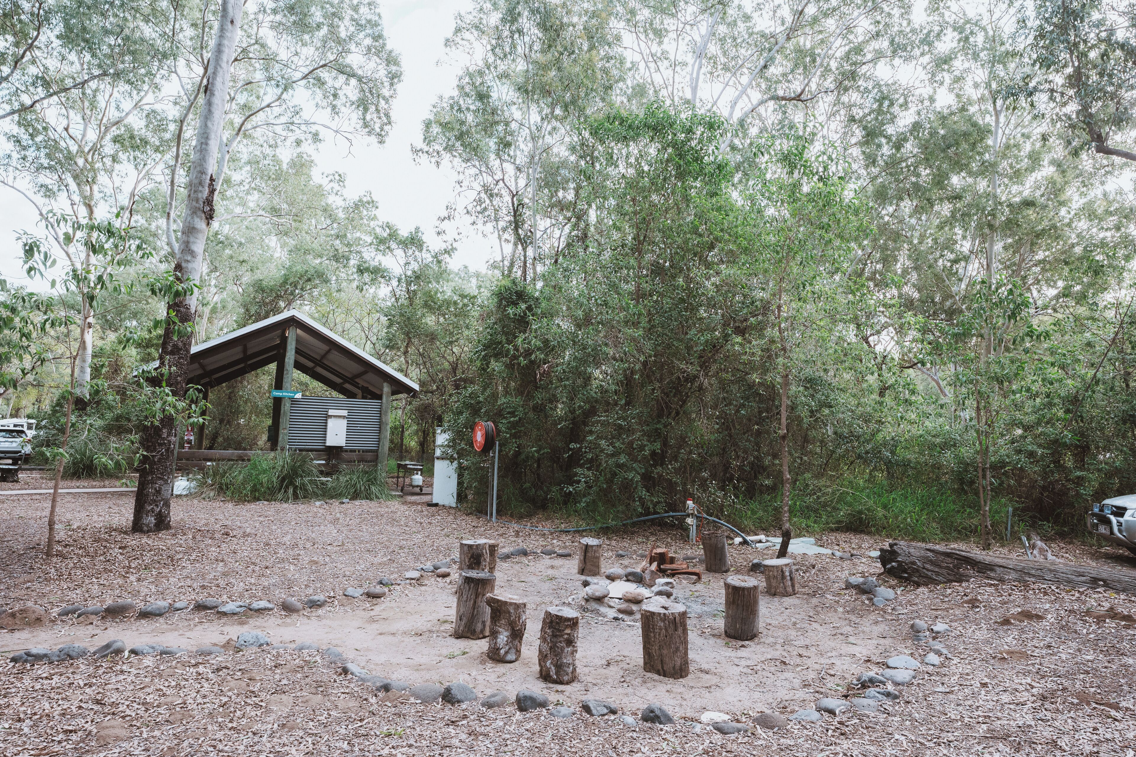 A rustic cabin surrounded by trees, a dirt path, and wooden stumps.