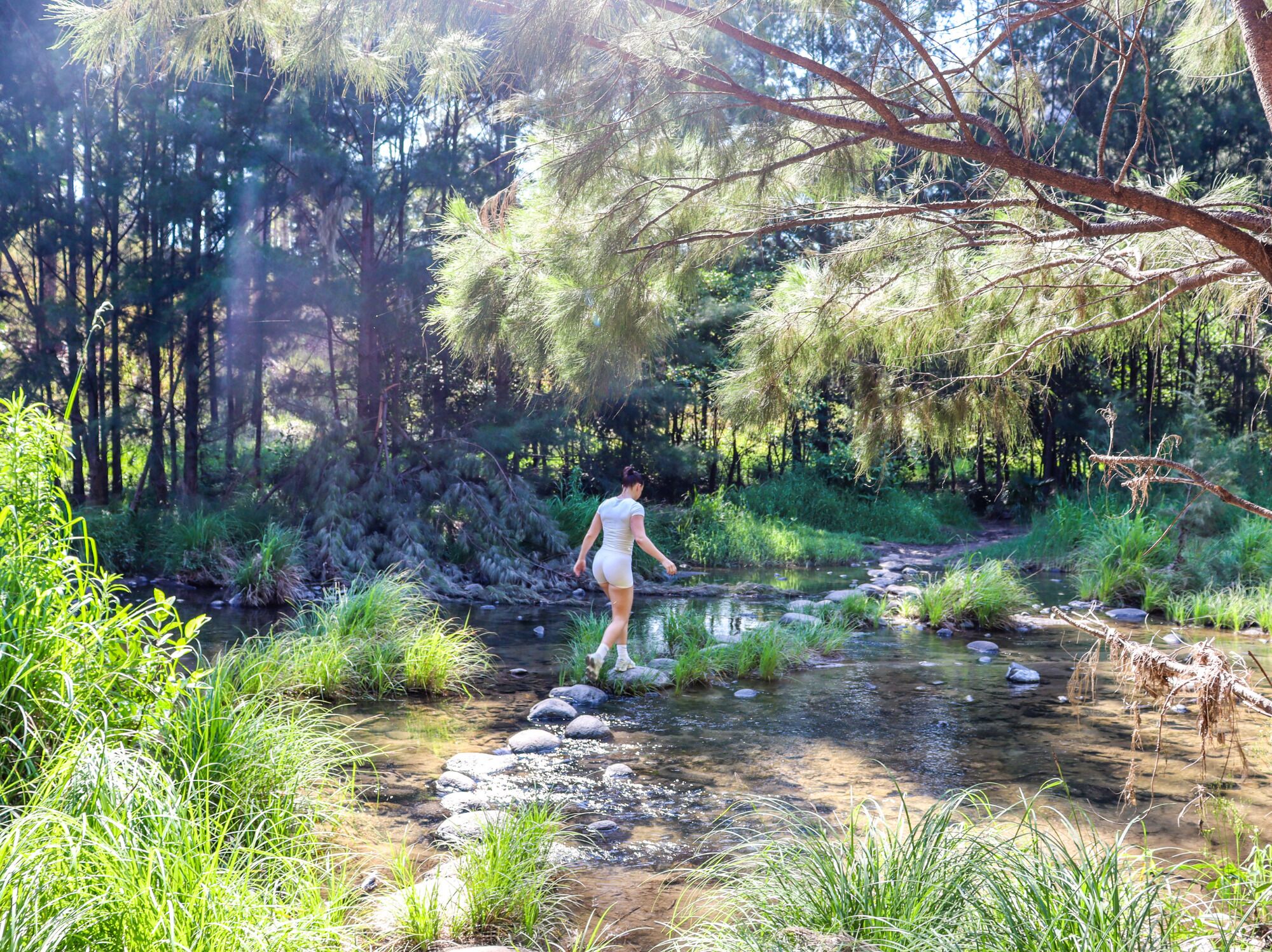 A person walking along a rocky stream in a forested area.