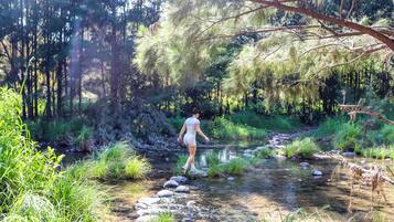 A person walking along a rocky stream in a forested area.