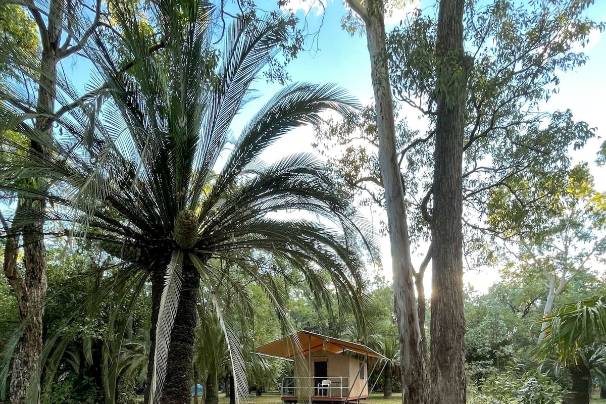 A small house with a porch and a lawn in a tropical setting.