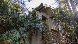 Un escalier en bois mène à un bâtiment en pierre, entouré d’une végétation luxuriante.