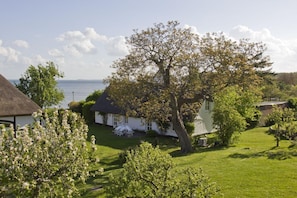 A coastal house with a large tree in the front yard, a thatched-roof building to the left, and a view of the sea in the background. - Beachfront idyll by the sea, private bathing area - Gutshof Ostseeblick FeWo 02 - (Putbus)