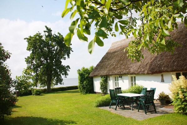 Unclassified image, 1 of 19, button