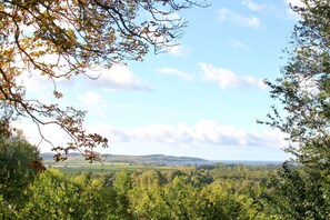 Unclassified image, 4 of 20, button