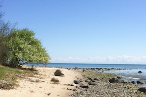 A beach with a sandy path, scattered rocks, and a tree.
