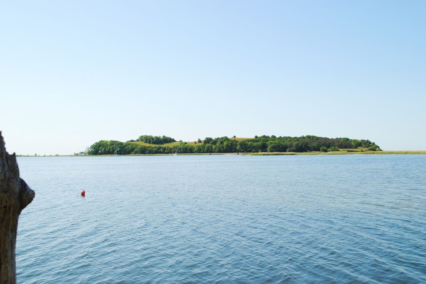 A calm lake with a small island covered in greenery.
