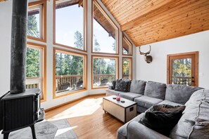 Smart TV, chimenea, videojuegos y libros 