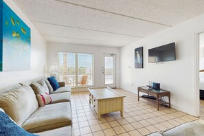 电视、DVD 播放器